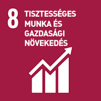 sdg8_HU.jpg