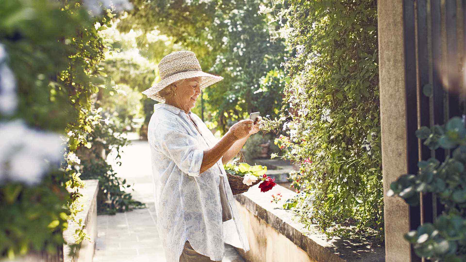 Dame âgée cueillant des fleurs dans son jardin